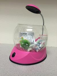 Picture of PetSmart Recalls Top Fin Betta Bowl Kits Due to Laceration Hazard 